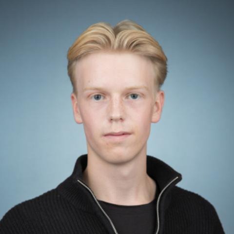 Deltager